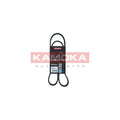 Curea transmisie caneluri KAMOKA 7015038