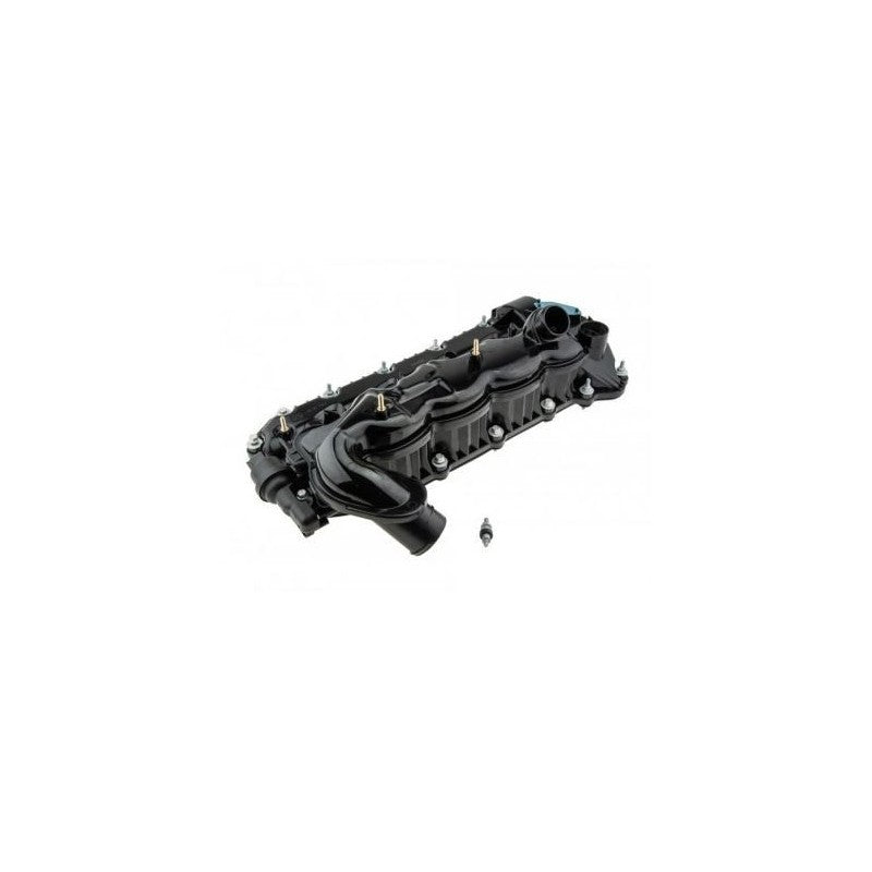 Capac culbutori MTR 12209996