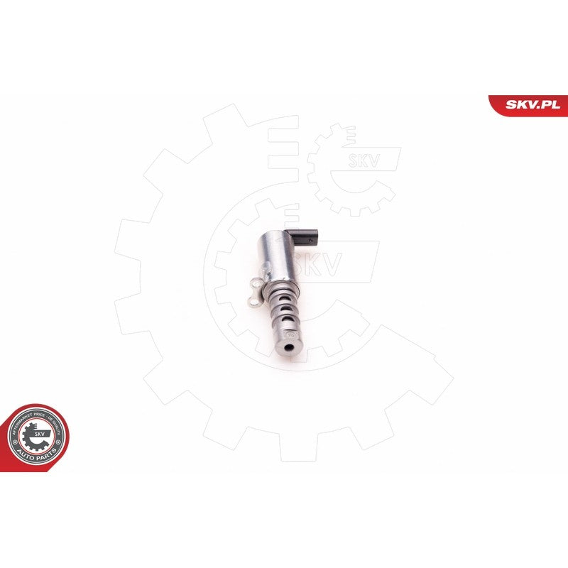 Supapa control ax came ESEN SKV 39SKV011