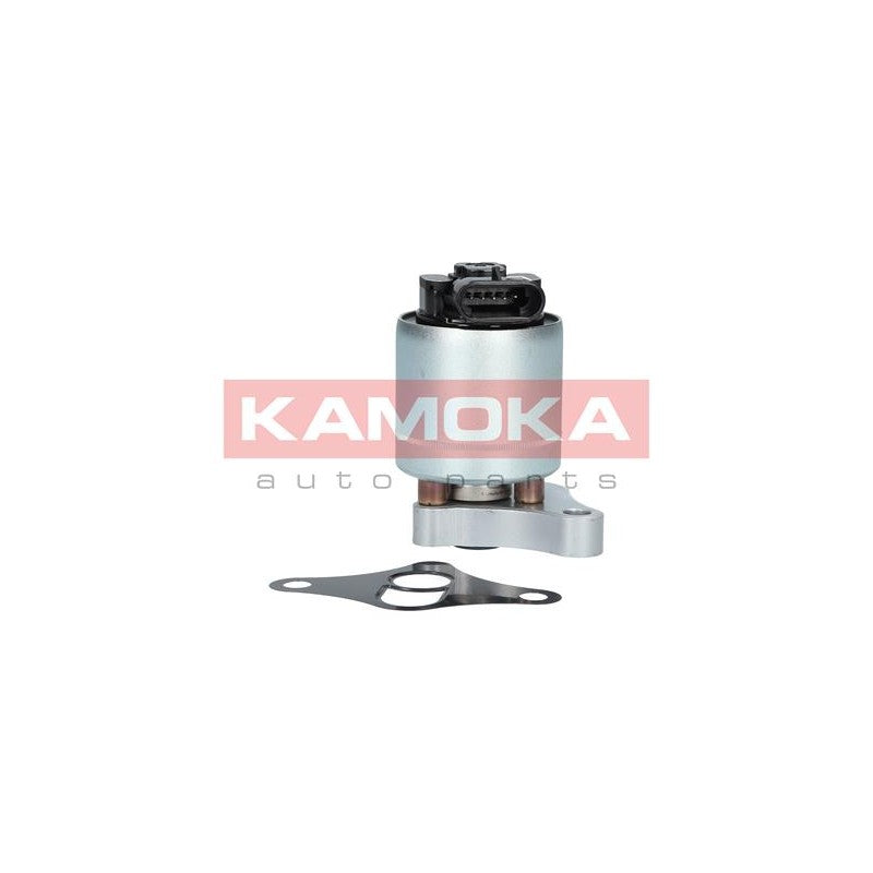 Supapa EGR KAMOKA 19002