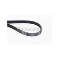 Curea transmisie caneluri CONTINENTAL CTAM 5PK1664 EXTRA