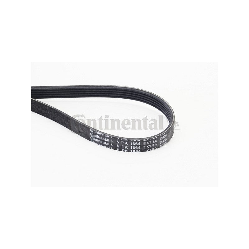 Curea transmisie caneluri CONTINENTAL CTAM 5PK1664 EXTRA