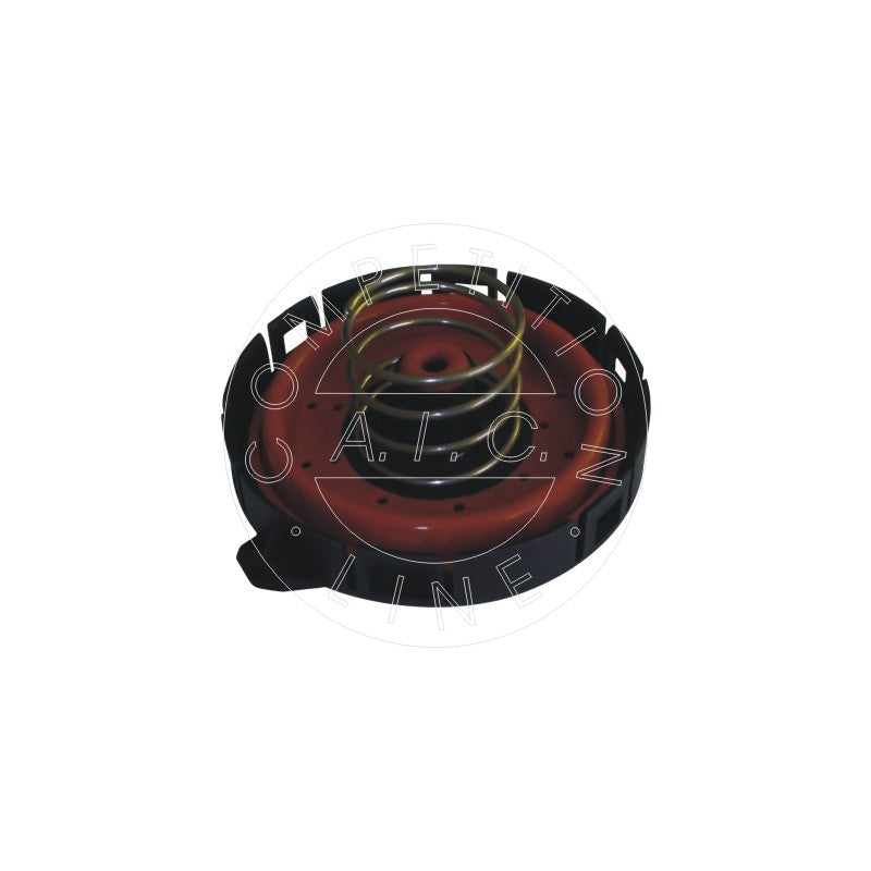 Supapa ventilatie carter AIC 55625