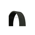 Curea transmisie caneluri CONTINENTAL CTAM 10PK2495