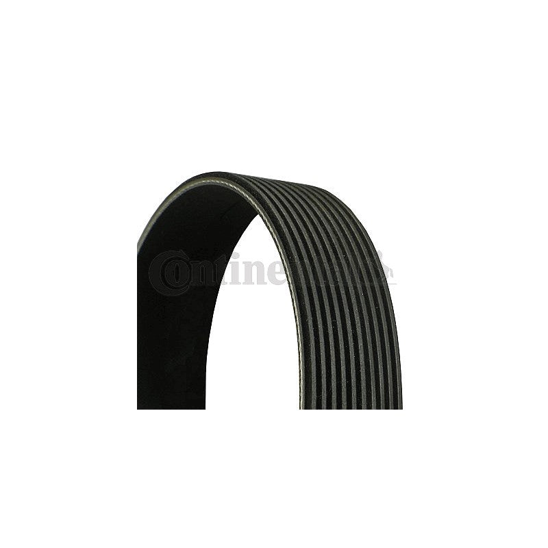 Curea transmisie caneluri CONTINENTAL CTAM 10PK2495