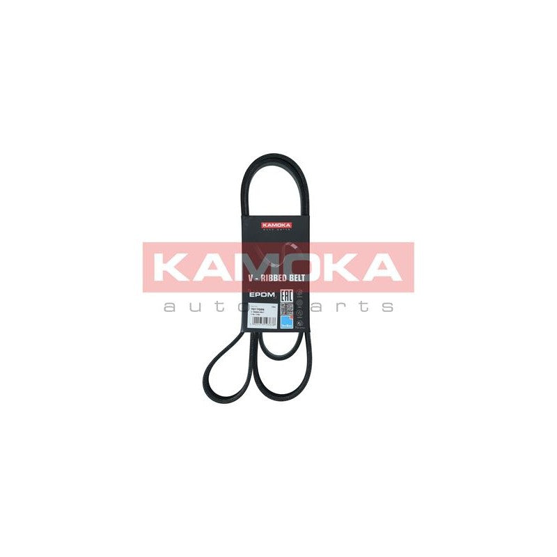 Curea transmisie caneluri KAMOKA 7017026