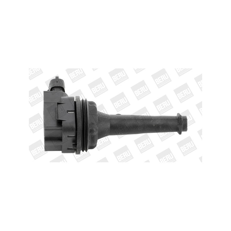Bobina inductie BorgWarner (BERU) ZSE019