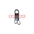 Curea transmisie caneluri KAMOKA 7018002