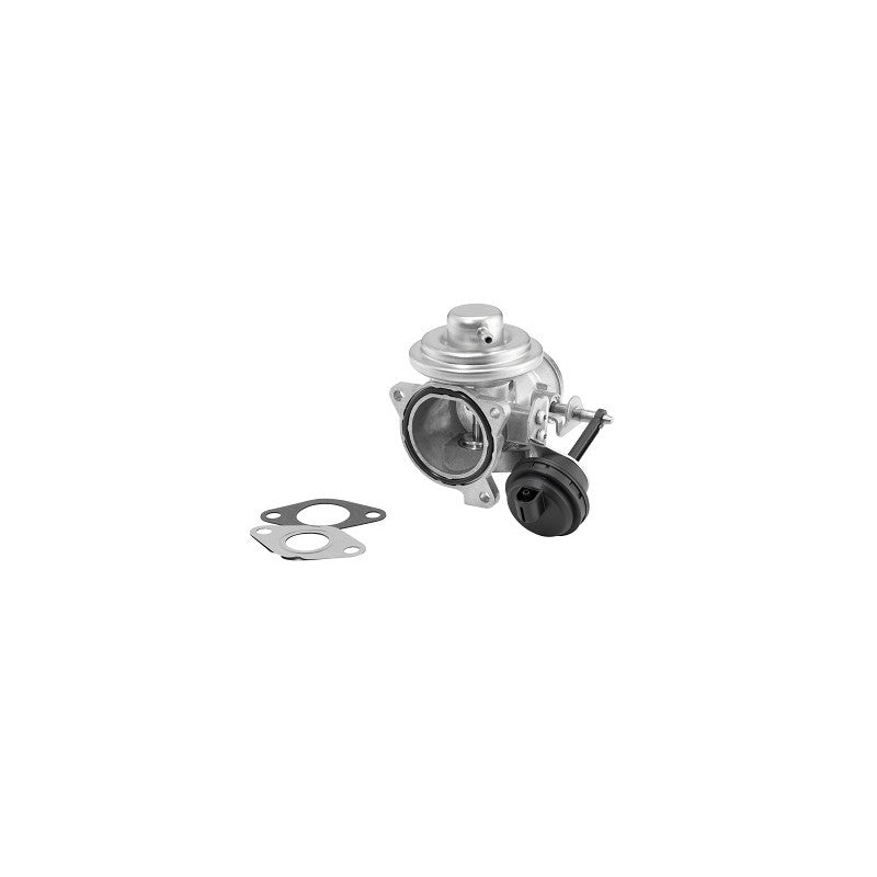 Supapa EGR BorgWarner 7283D