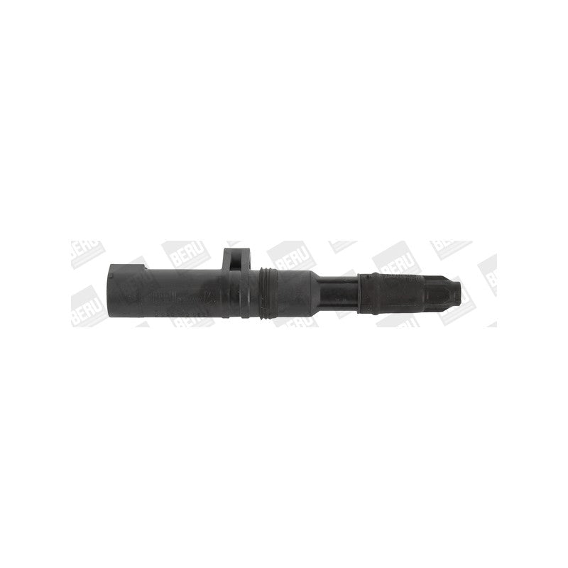 Bobina inductie BorgWarner (BERU) ZS052