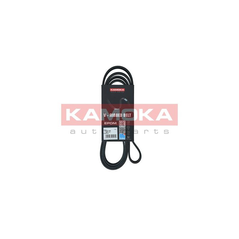 Curea transmisie caneluri KAMOKA 7016199
