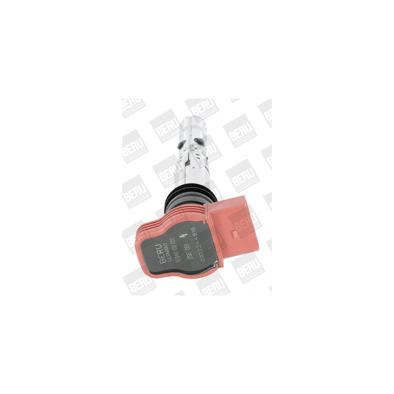 Bobina inductie BorgWarner (BERU) ZSE051