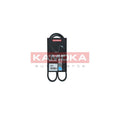 Curea transmisie caneluri KAMOKA 7015019