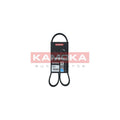 Curea transmisie caneluri KAMOKA 7016030