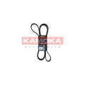 Curea transmisie caneluri KAMOKA 7016218