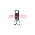 Curea transmisie caneluri KAMOKA 7016098