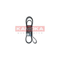 Curea transmisie caneluri KAMOKA 7016216