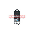 Curea transmisie caneluri KAMOKA 7014048