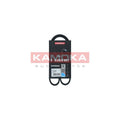 Curea transmisie caneluri KAMOKA 7014029