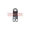 Curea transmisie caneluri KAMOKA 7016031