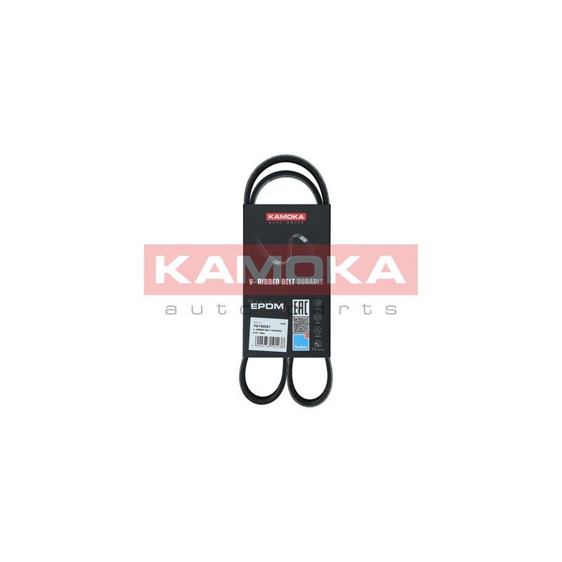 Curea transmisie caneluri KAMOKA 7016031