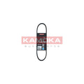 Curea transmisie caneluri KAMOKA 7014004