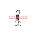 Curea transmisie caneluri KAMOKA 7015079