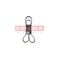 Curea transmisie caneluri KAMOKA 7016137