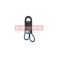 Curea transmisie caneluri KAMOKA 7016081
