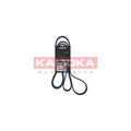 Curea transmisie caneluri KAMOKA 7016228