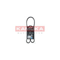 Curea transmisie caneluri KAMOKA 7014064
