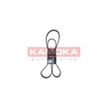 Curea transmisie caneluri KAMOKA 7016167