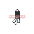 Curea transmisie caneluri KAMOKA 7016203