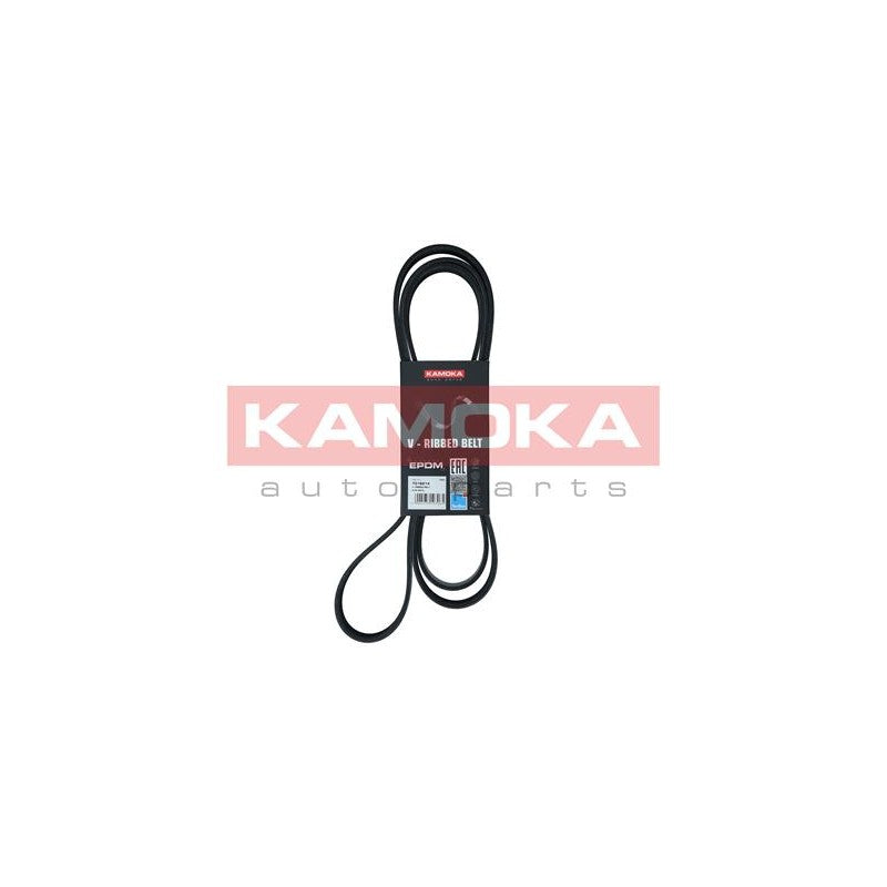 Curea transmisie caneluri KAMOKA 7016214