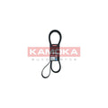 Curea transmisie caneluri KAMOKA 7016239