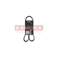 Curea transmisie caneluri KAMOKA 7017002