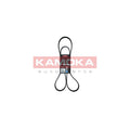 Curea transmisie caneluri KAMOKA 7016145