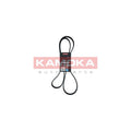 Curea transmisie caneluri KAMOKA 7017032