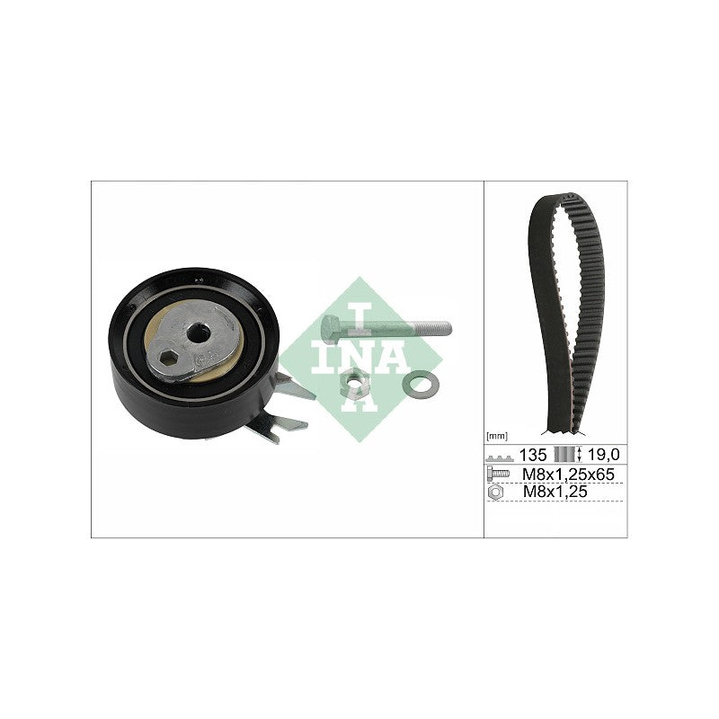 Kit distributie INA 530 0166 10