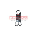 Curea transmisie caneluri KAMOKA 7017007