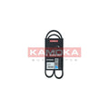 Curea transmisie caneluri KAMOKA 7016023