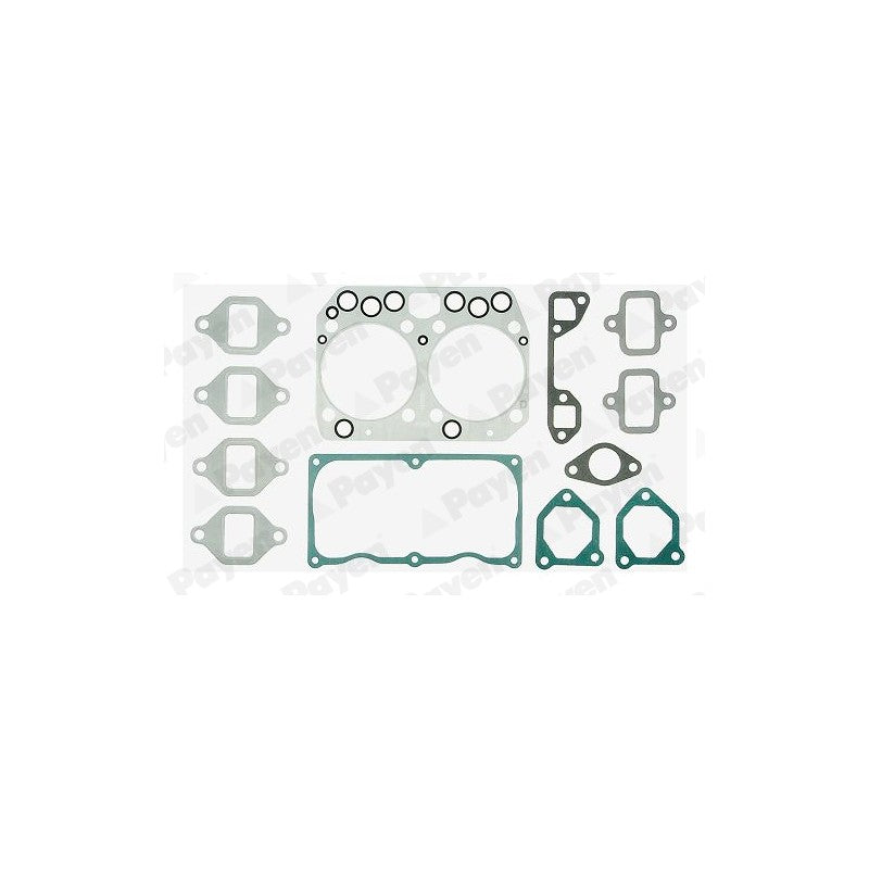 Garnitura PAYEN DV500