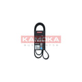Curea transmisie caneluri KAMOKA 7016138