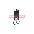 Curea transmisie caneluri KAMOKA 7016044