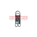 Curea transmisie caneluri KAMOKA 7014063