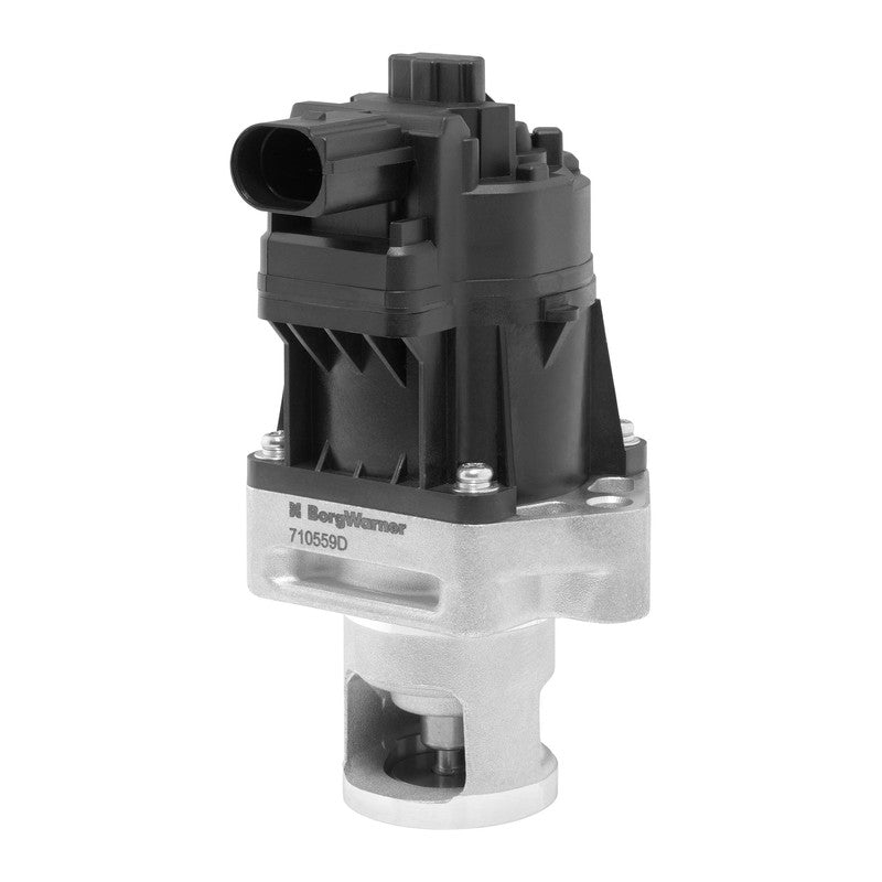 Supapa EGR BorgWarner 710559D