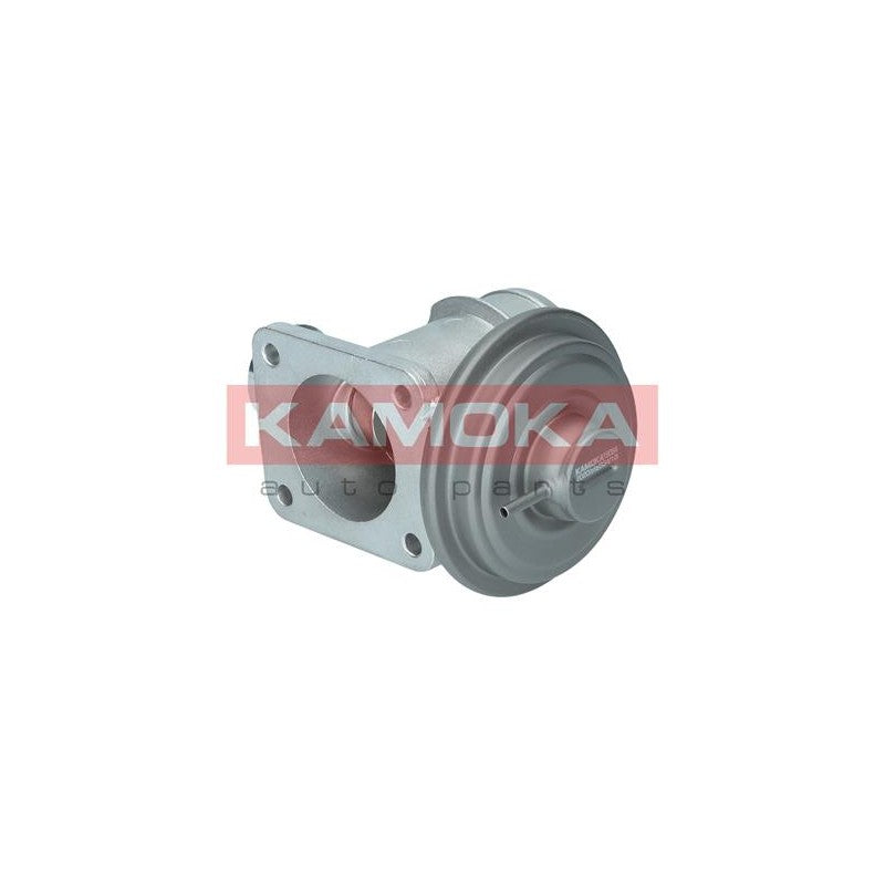 Supapa EGR KAMOKA 19064