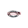 Senzor ABS KAMOKA 1060197