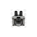 Bobina inductie BorgWarner (BERU) ZS283
