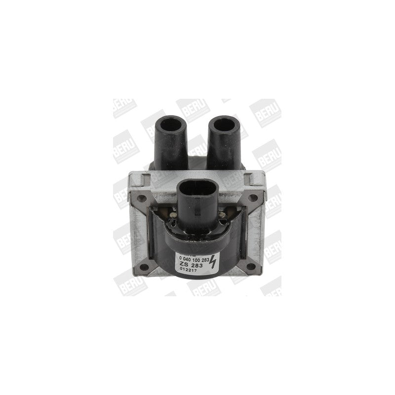 Bobina inductie BorgWarner (BERU) ZS283
